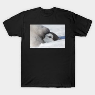 Emperor chick T-Shirt